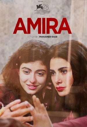 Amira 3