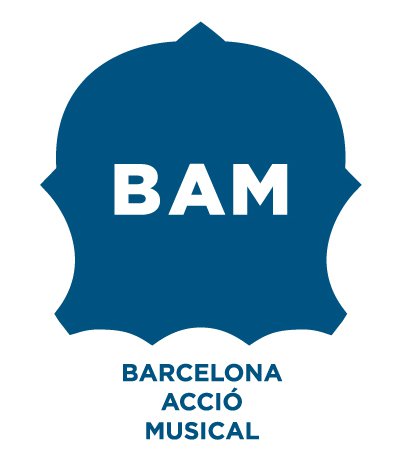 Bam 2013
