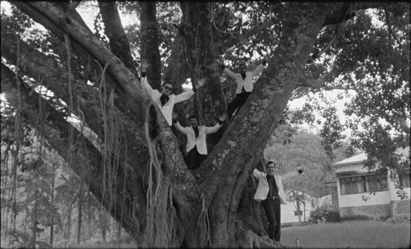 tabu-2012-006-band-in-tree