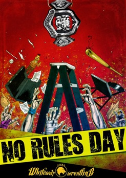 No Rules Day POSTER