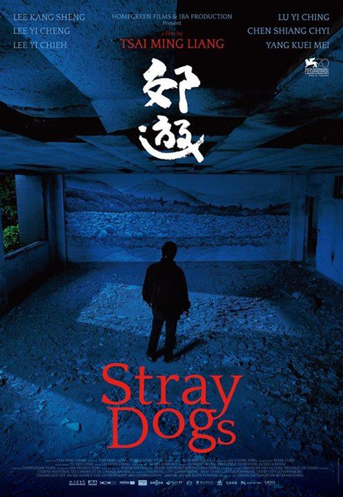 Stray Dogs-2013